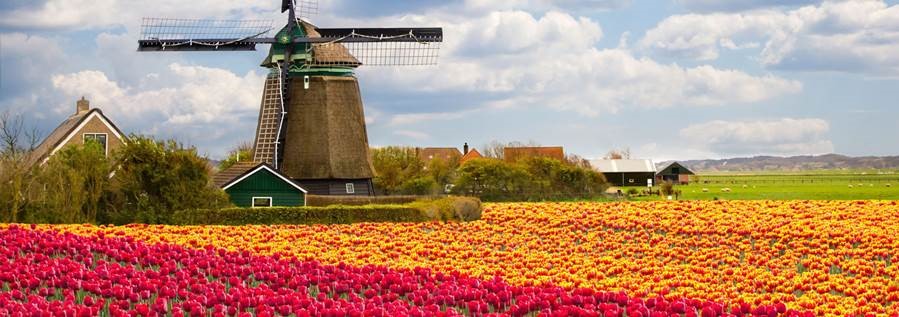 Bowltech International B.V. Netherlands