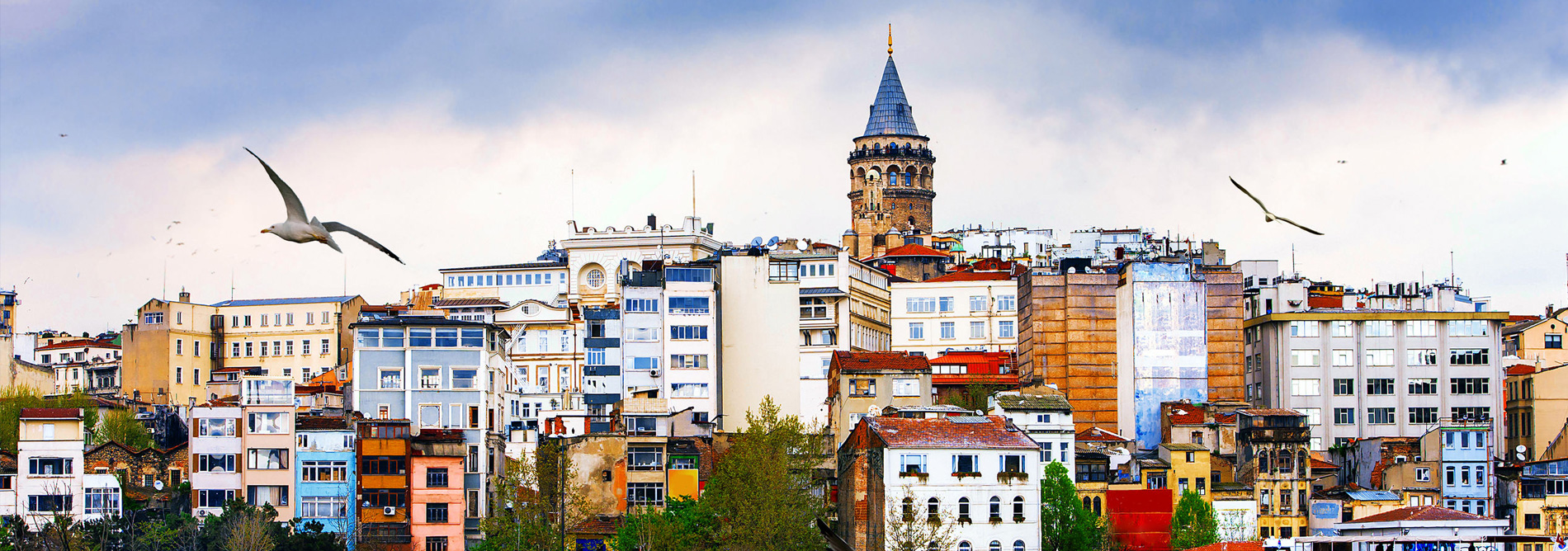 Meridyen sport Dis Tic. Ve Paz. Ltd. localized info