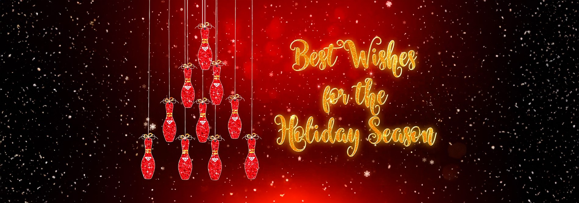 Website Banner Holiday 2023.jpg